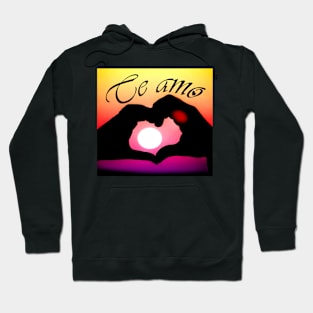 Te amo (I love you in Spanish) - Pop art Hoodie